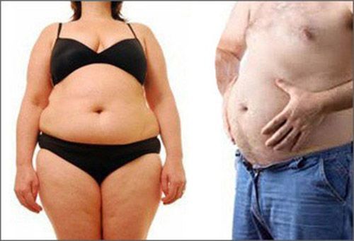 Sarasota weight loss - image of fat people